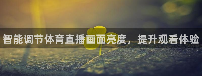 蜘蛛体育直播：智能调节体育直播画面亮度，提升观看体验