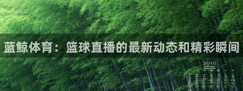 nba蜘蛛：蓝鲸体育：篮球直播的最新动态和精彩瞬间