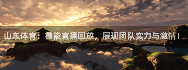蜘蛛nba免费直播在线直播：山东体育：鲁能直播回放，展现团队实力与激情！