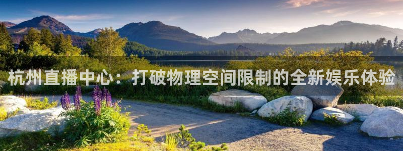 蜘蛛直播体育篮球：杭州直播中心：打破物理空间限制的全新娱乐体验
