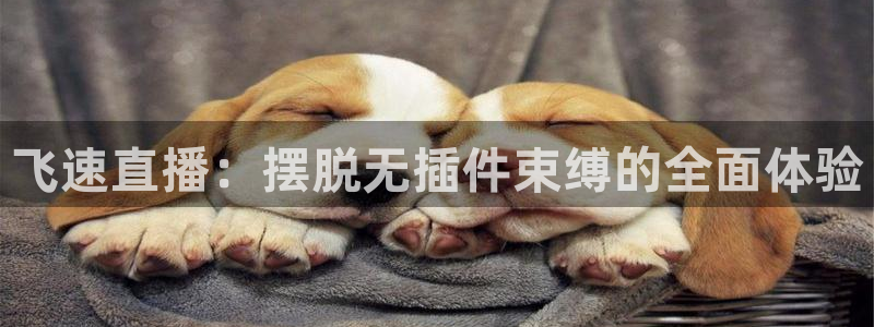 蜘蛛nba：飞速直播：摆脱无插件束缚的全面体验