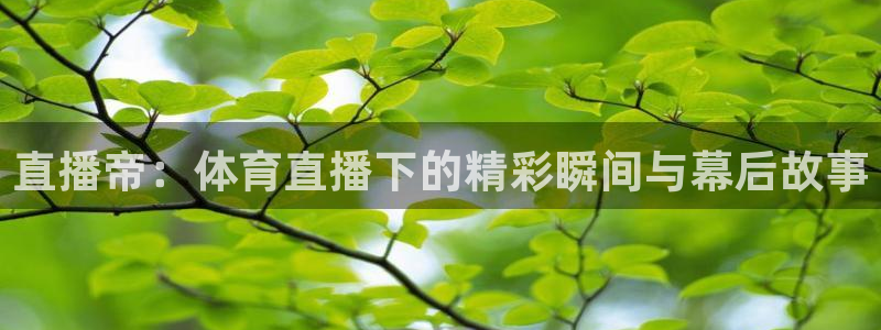 蜘蛛nba直播：直播帝：体育直播下的精彩瞬间与幕后故事
