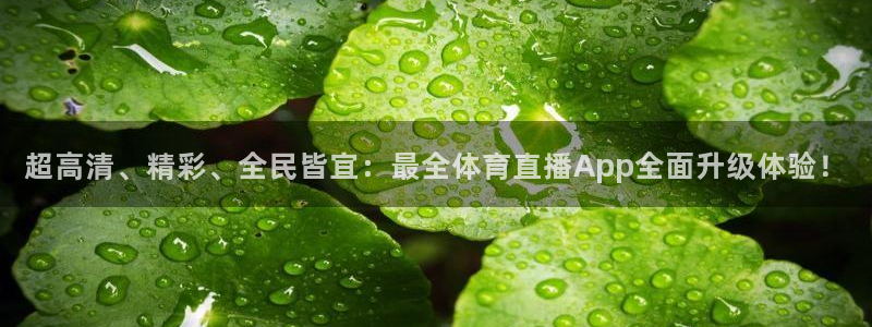 蜘蛛nba直播免费观看：超高清、精彩、全民皆宜：最全体育直播App全面升级体验！