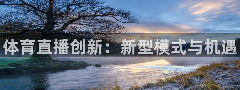 蜘蛛体育免费：体育直播创新：新型模式与机遇