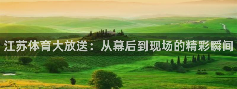 蜘蛛直播nba免费观看：江苏体育大放送：从幕后到现场的精彩瞬间