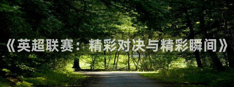 蜘蛛直播体育app：《英超联赛：精彩对决与精彩瞬间》