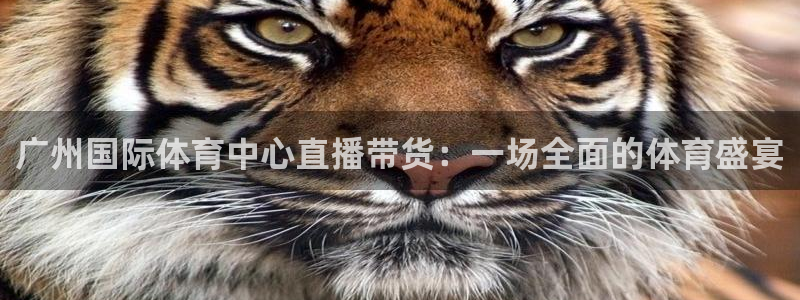 jrs蜘蛛直播nba免费：广州国际体育中心直播带货：一场全面的体育盛宴